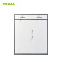 Cabinet Ffeil Drws Swing